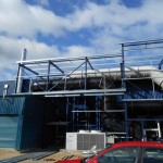 Painted Structural Steel Frame - to form a plant enclosure.